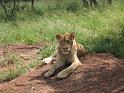 Afrika-feb2006 133